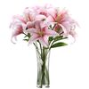 send lilies to dhaka, delivery lilies in dhaka