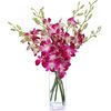 send orchids to dhaka, delivery orchids in dhaka