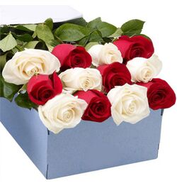 send 12 red and white roses full box arrangement to dhaka, bangladesh
