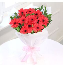 Send 12 Pcs. Red Gerberas in Bouquet to Bangladesh