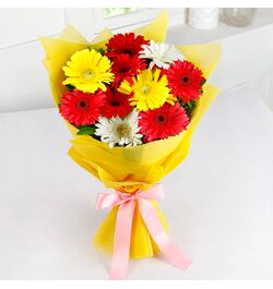 Send 12 Pcs. Mixed Color Gerberas in Bouquet to Bangladesh