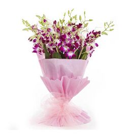 Send 12 Pcs. Pink Orchid in a Bouquet to Bangladesh