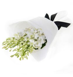 Send 12 Stem White Orchid in a Bouquet to Bangladesh
