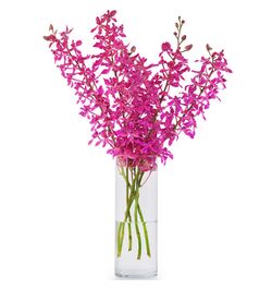Send 10 Stems Pink Color Orchid in Vase to Bangladesh
