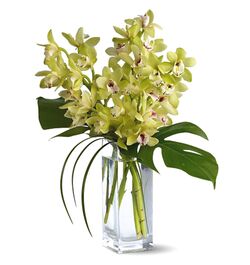 Delivery 10 Pcs. White Color Orchid in Vase to Bangladesh