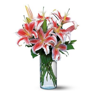 Send 6 Stalks Pink lilies in a Vase to Dhaka in Bangladesh